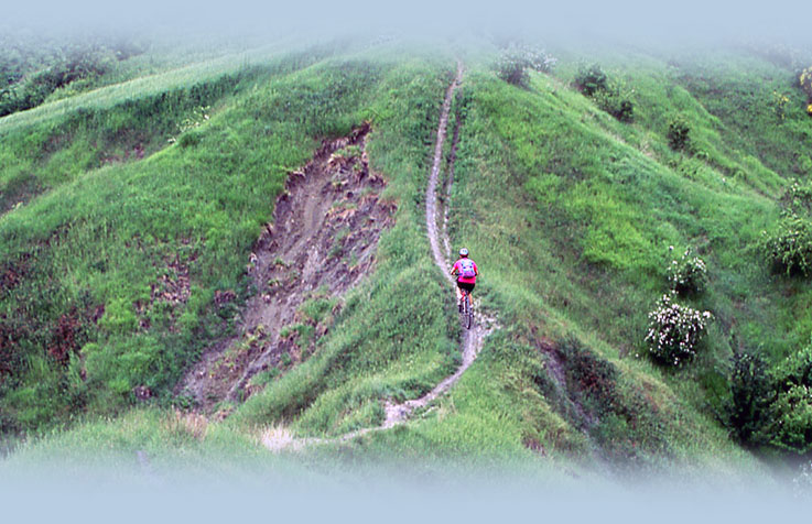 colline di bologna in MTB, gessi e calanchi